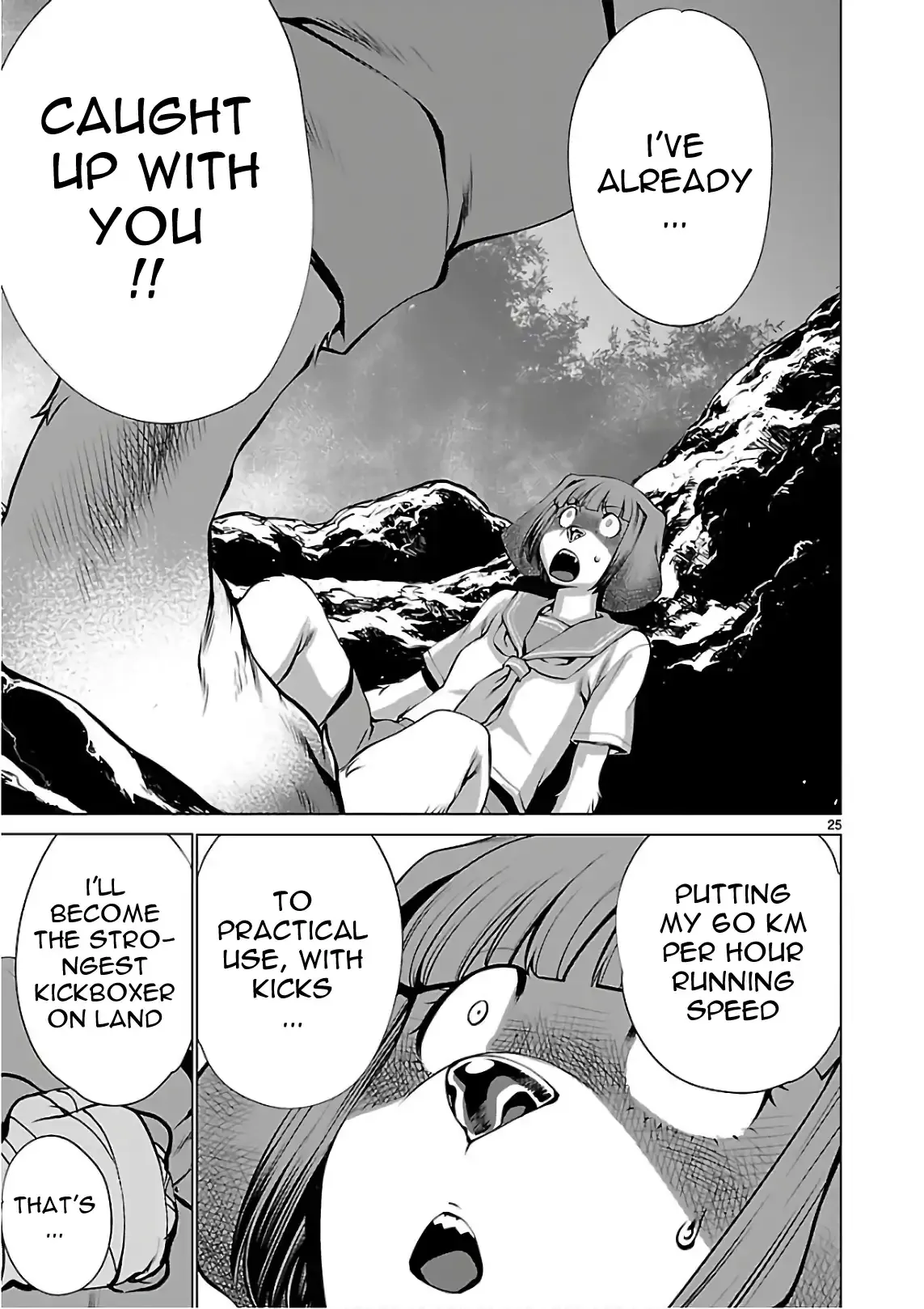 Page 25