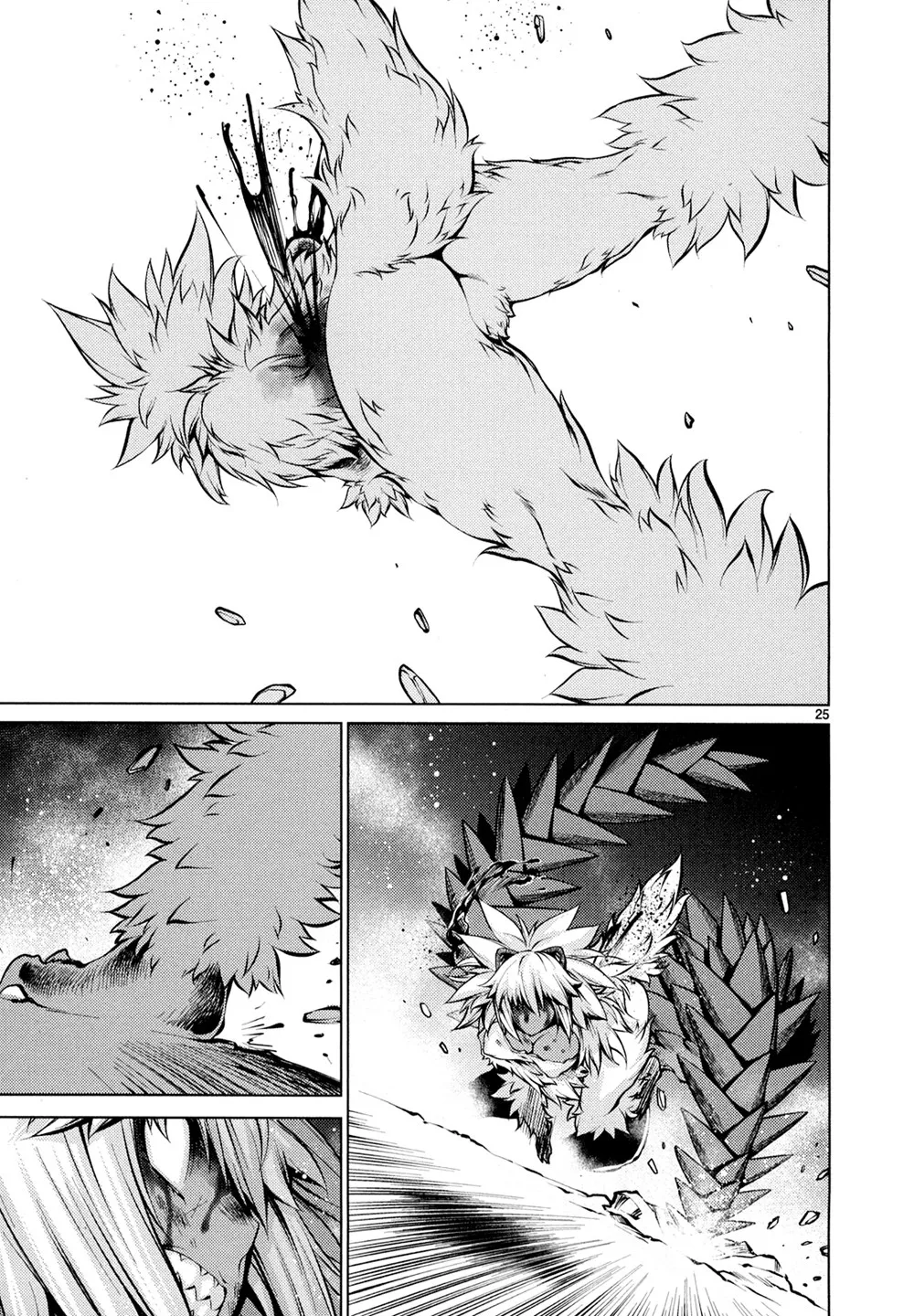 Page 25