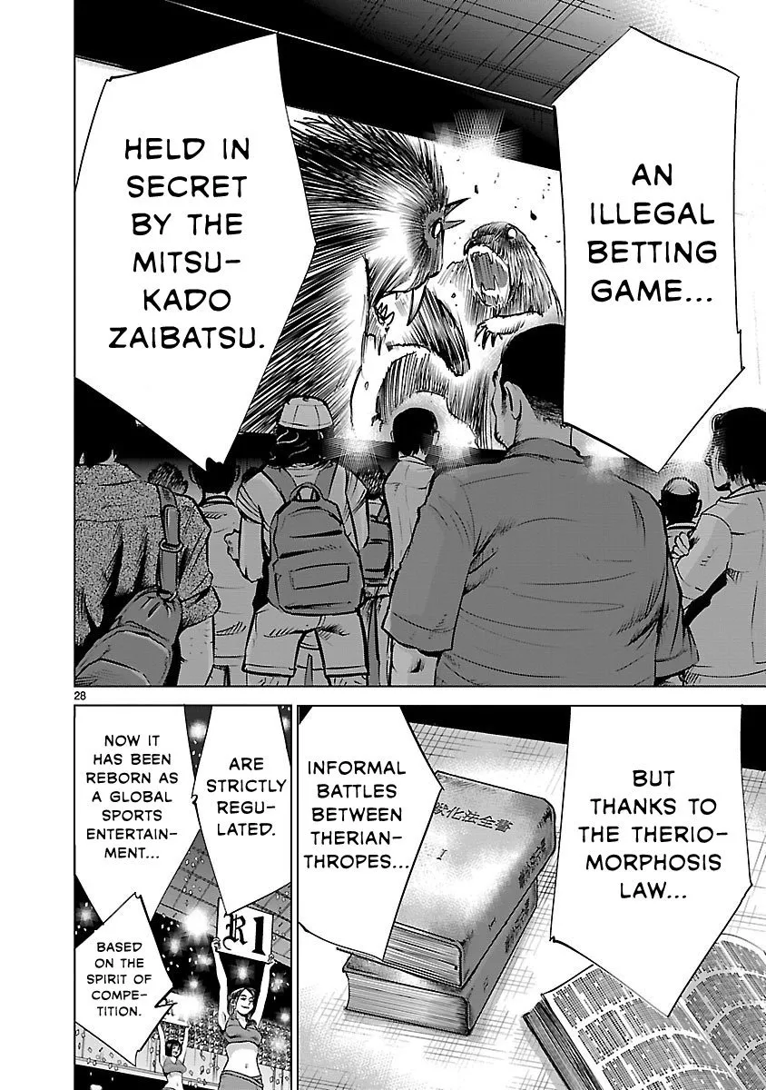 Page 28