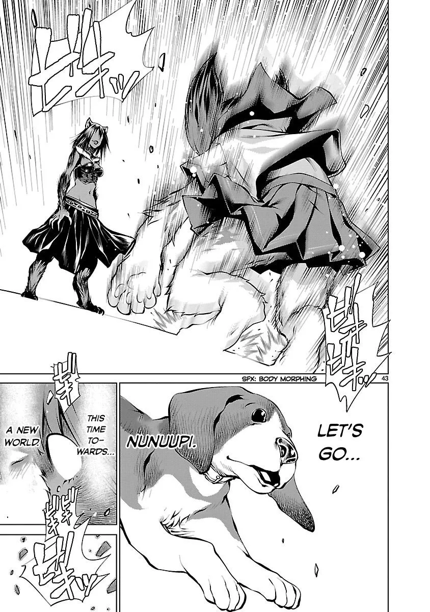 Page 43