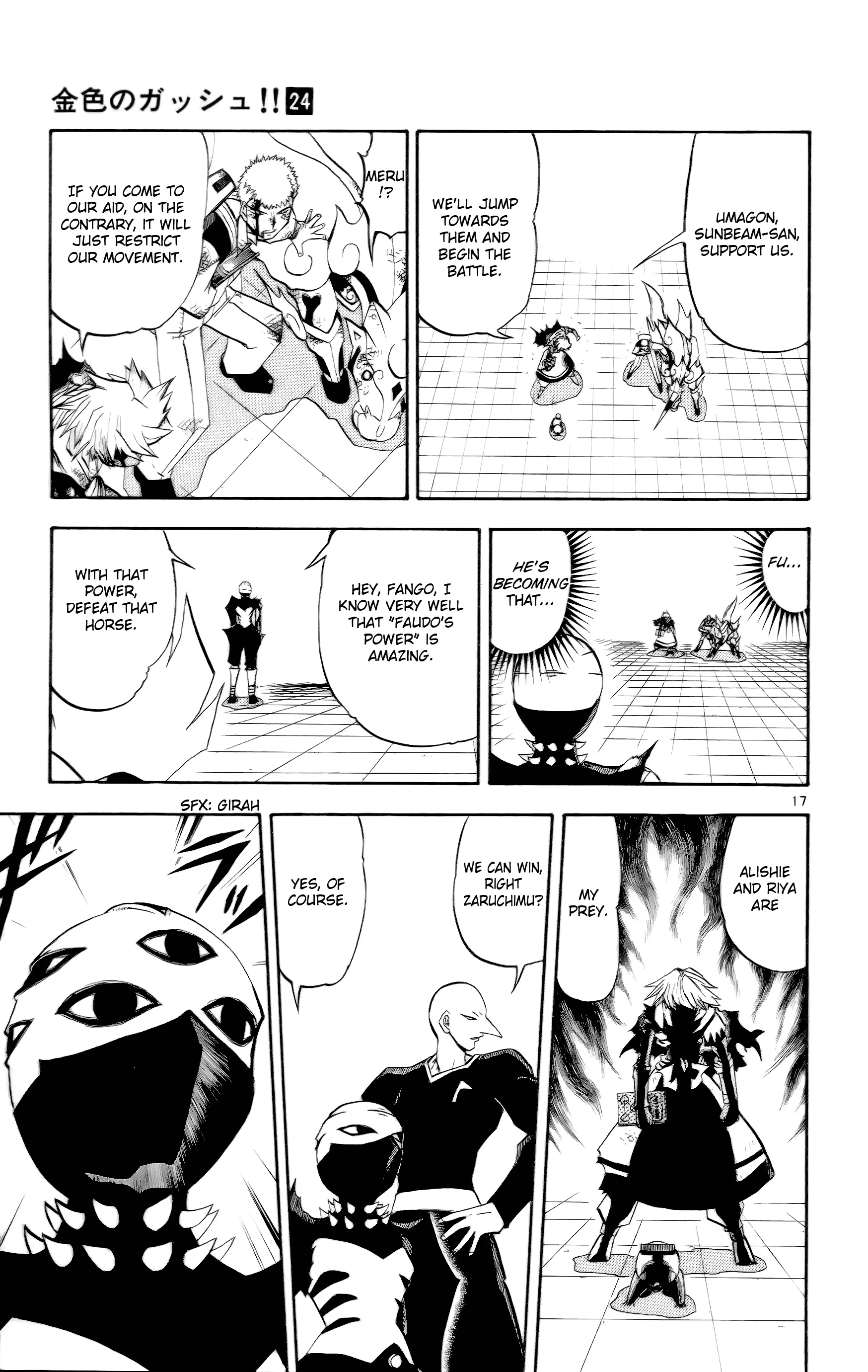 Page 17