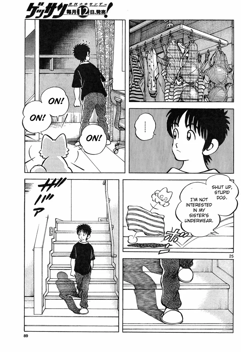 Page 25