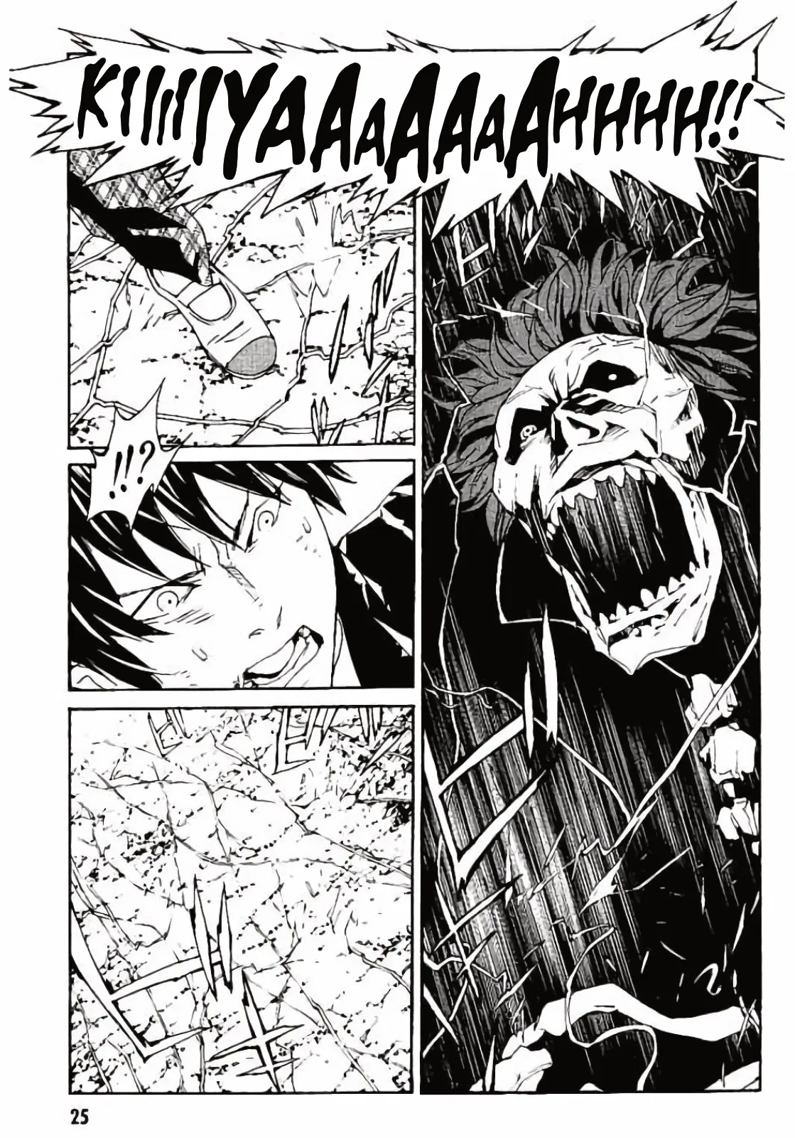Page 25