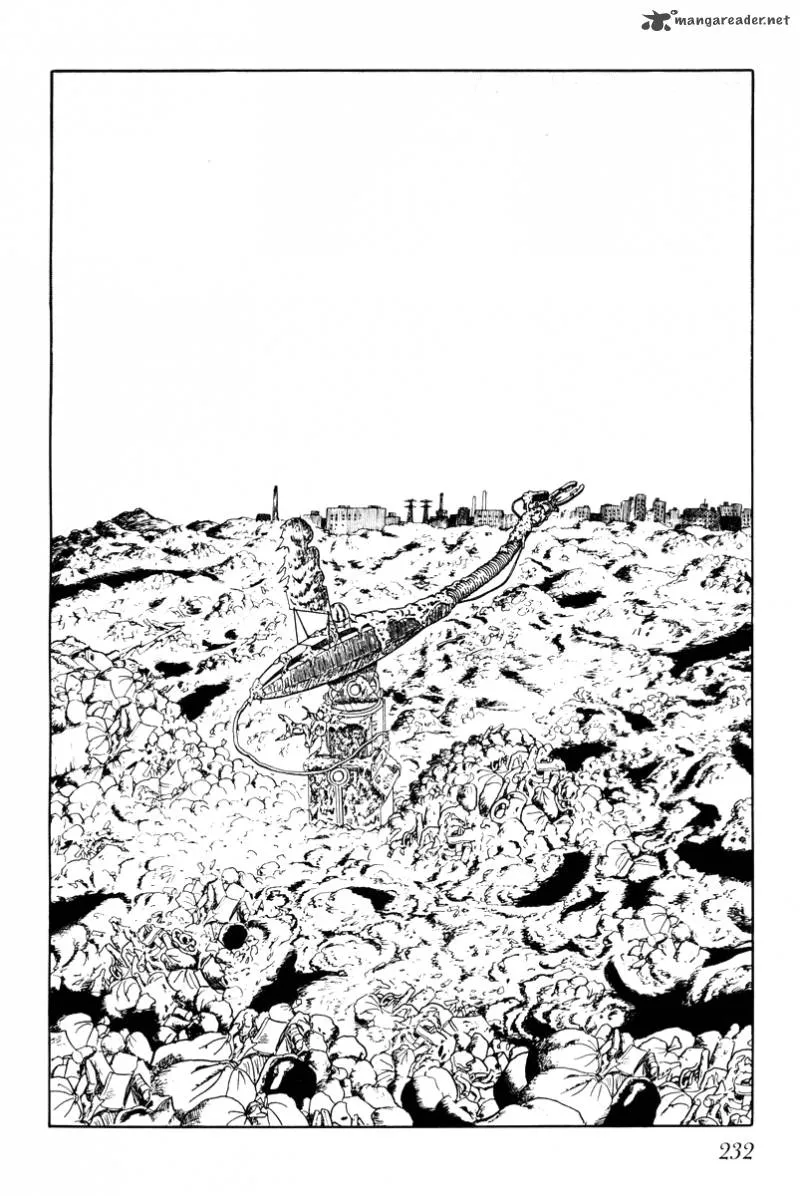 Page 233