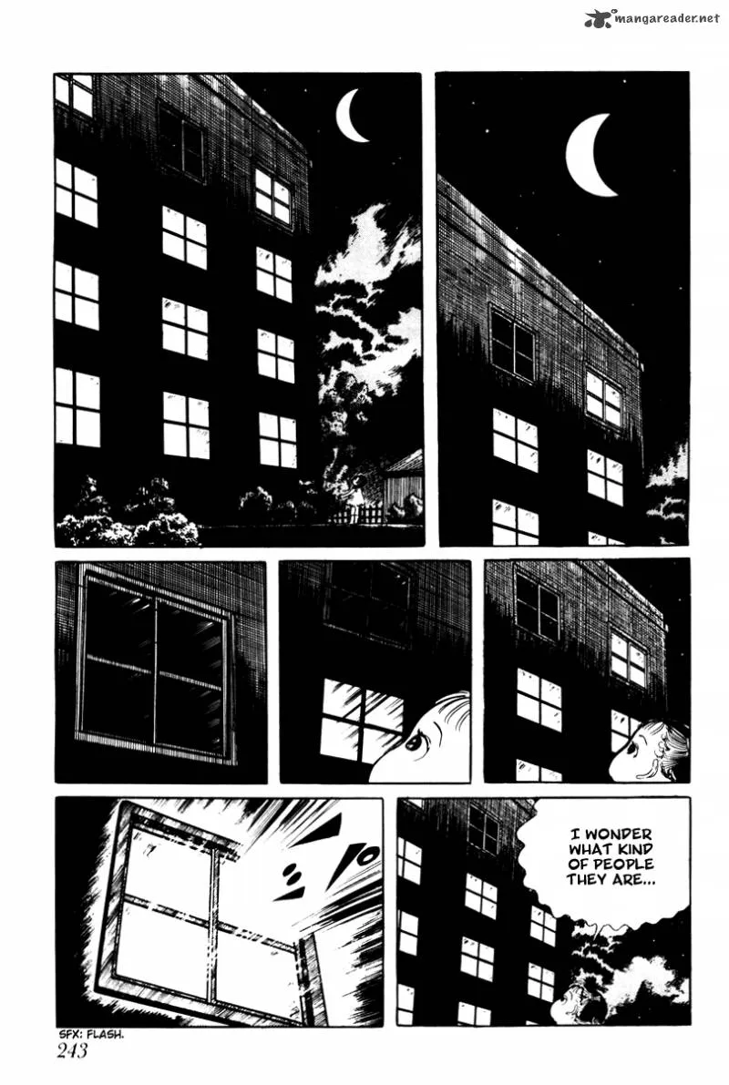 Page 243
