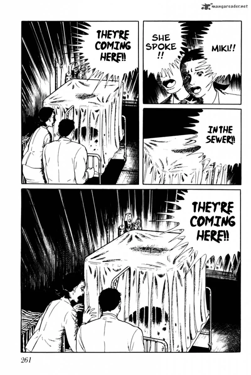 Page 261