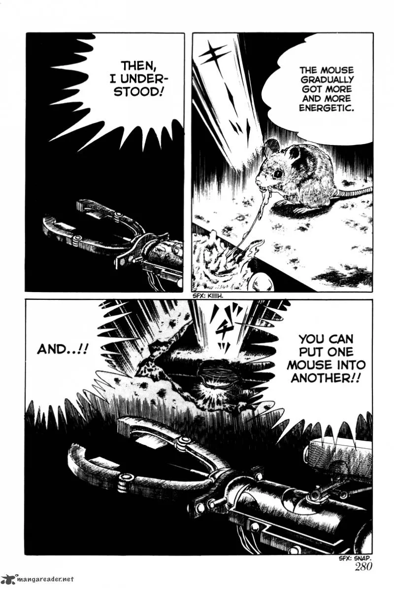 Page 278