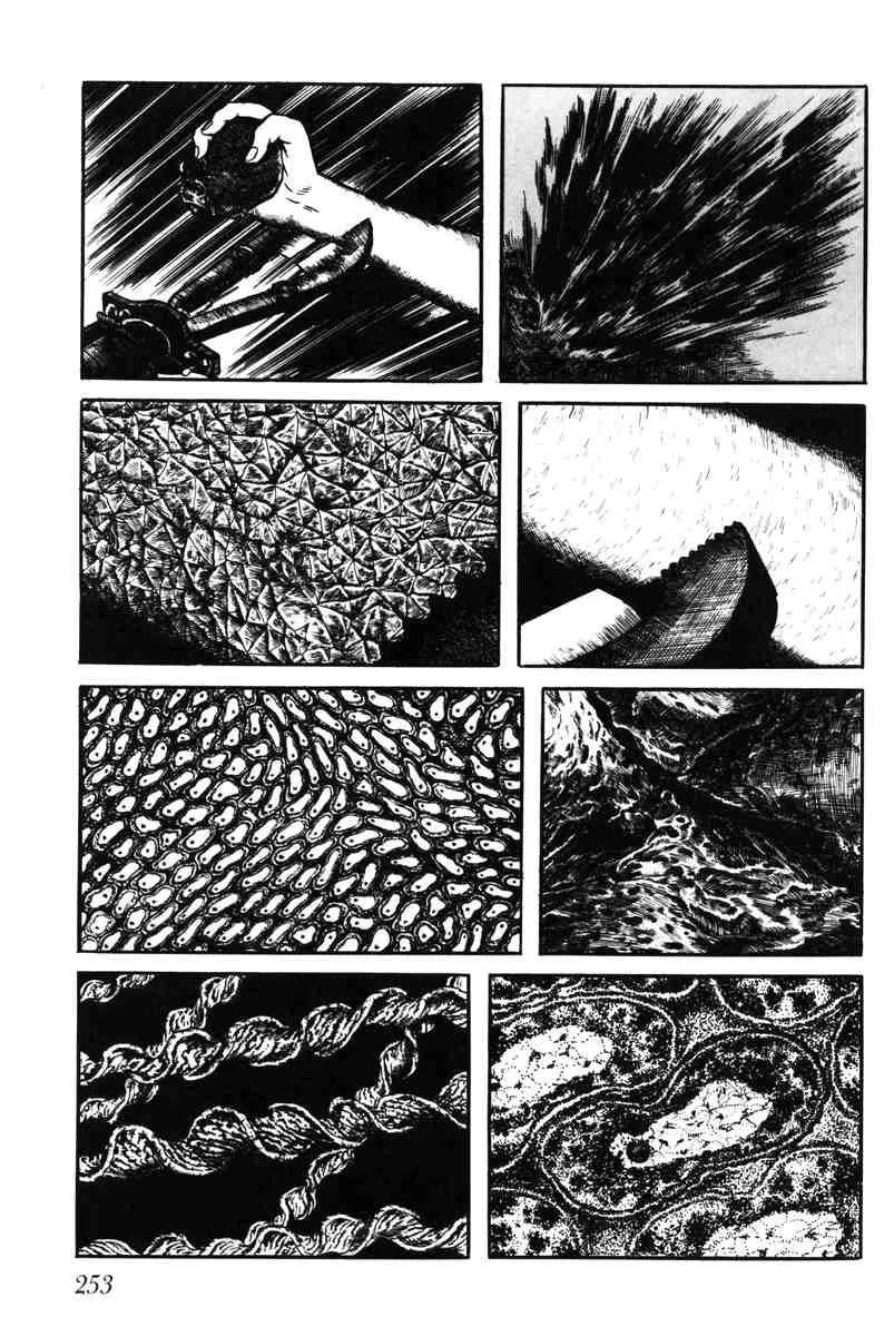 Page 247