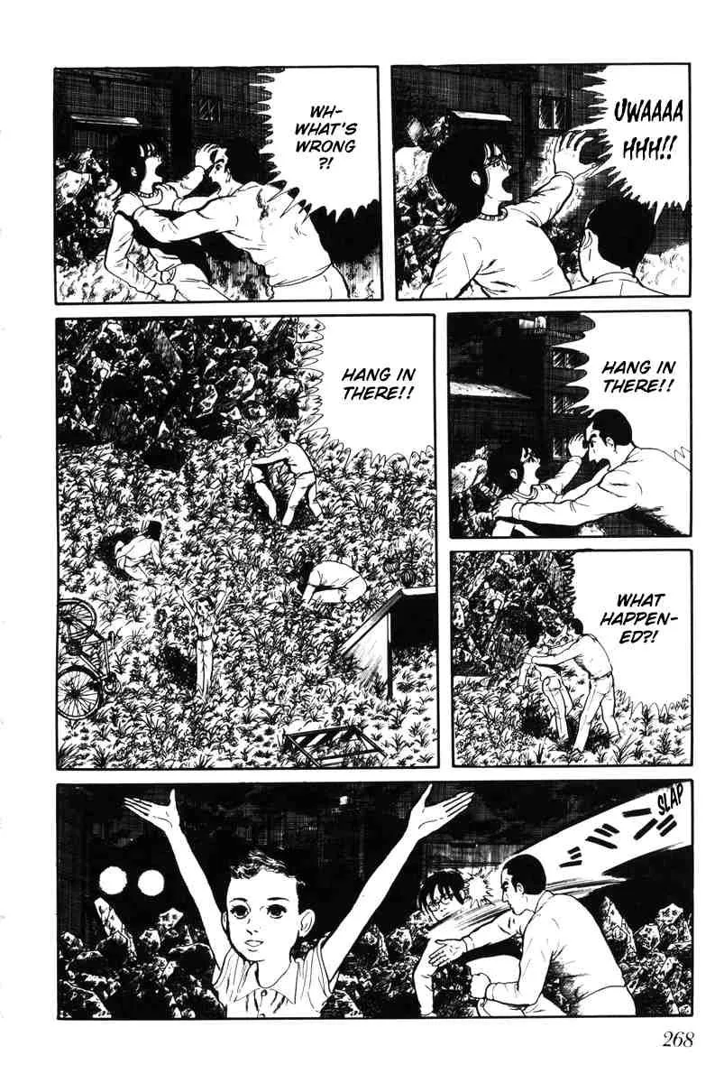 Page 261