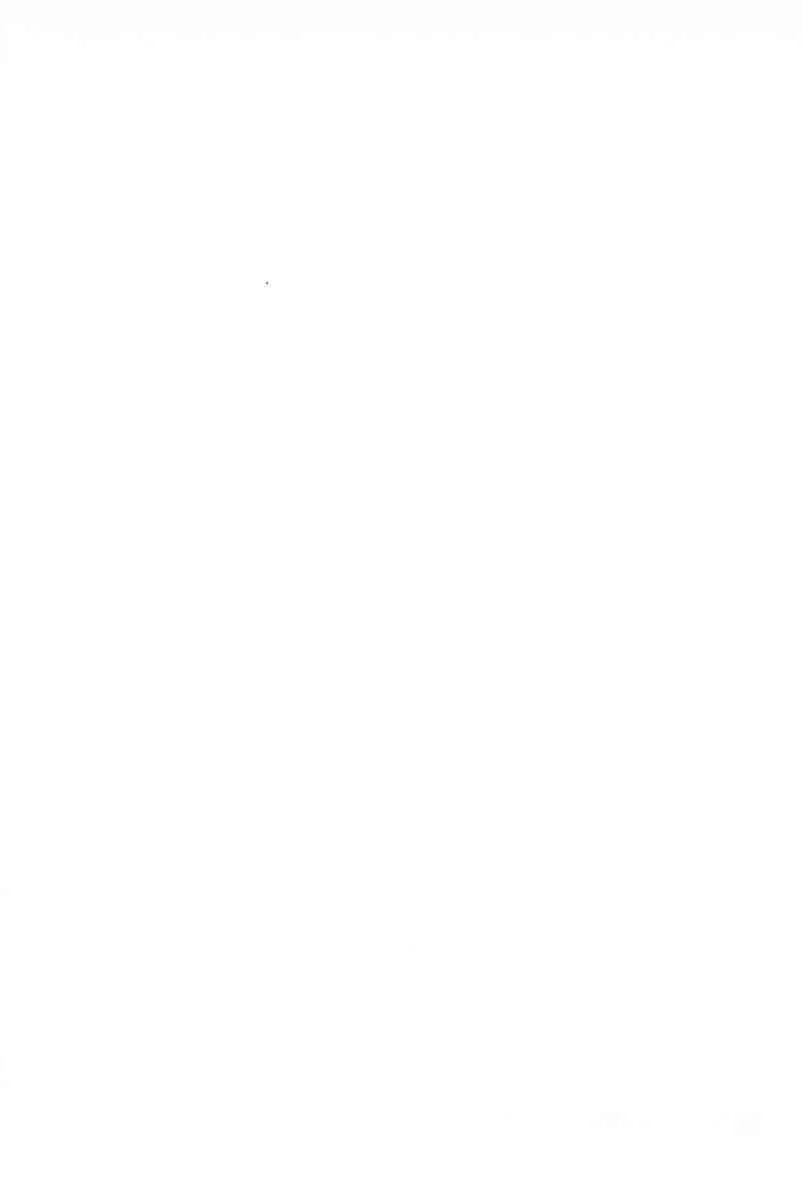 Page 311