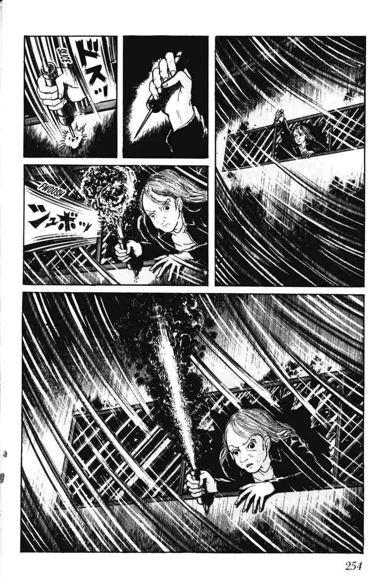Page 253
