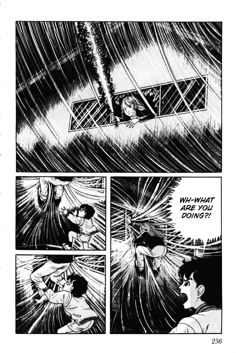 Page 255