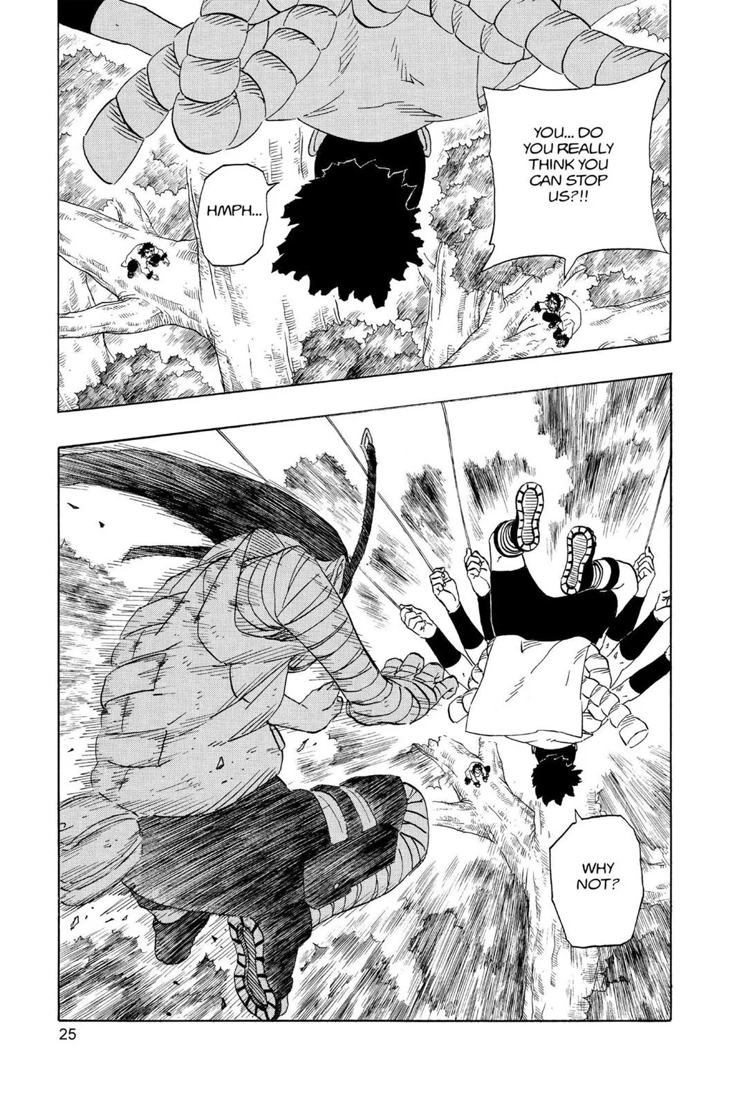 Page 25