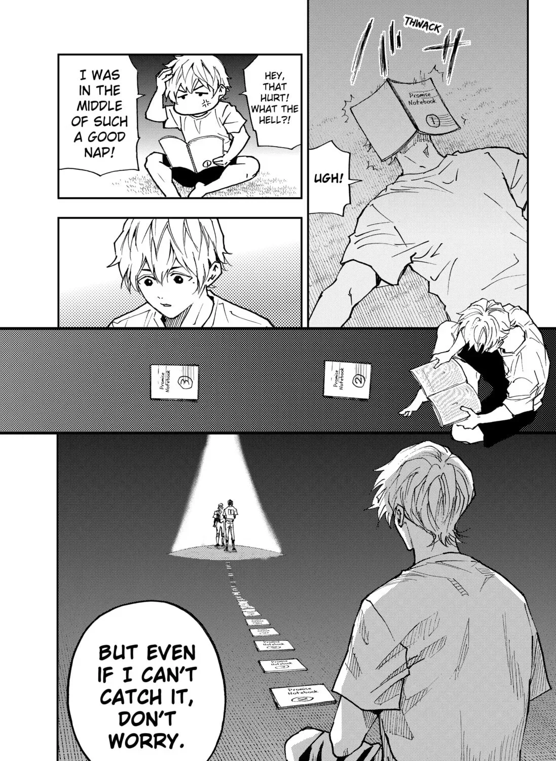 Page 43