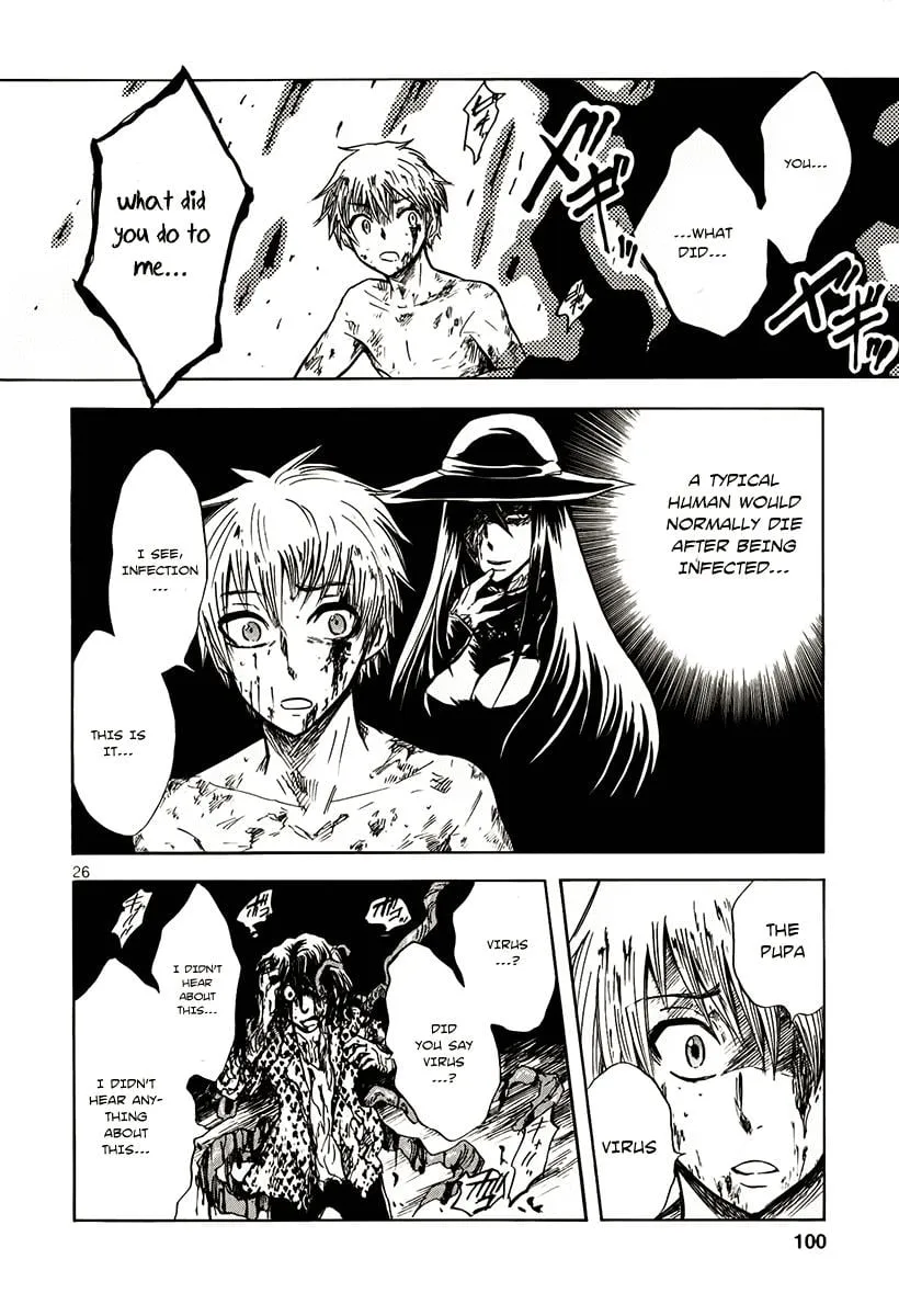 Page 26