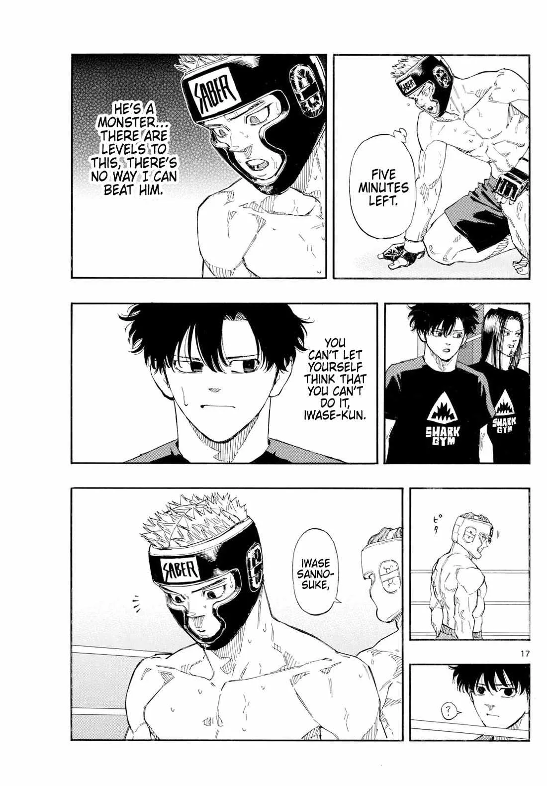 Page 17