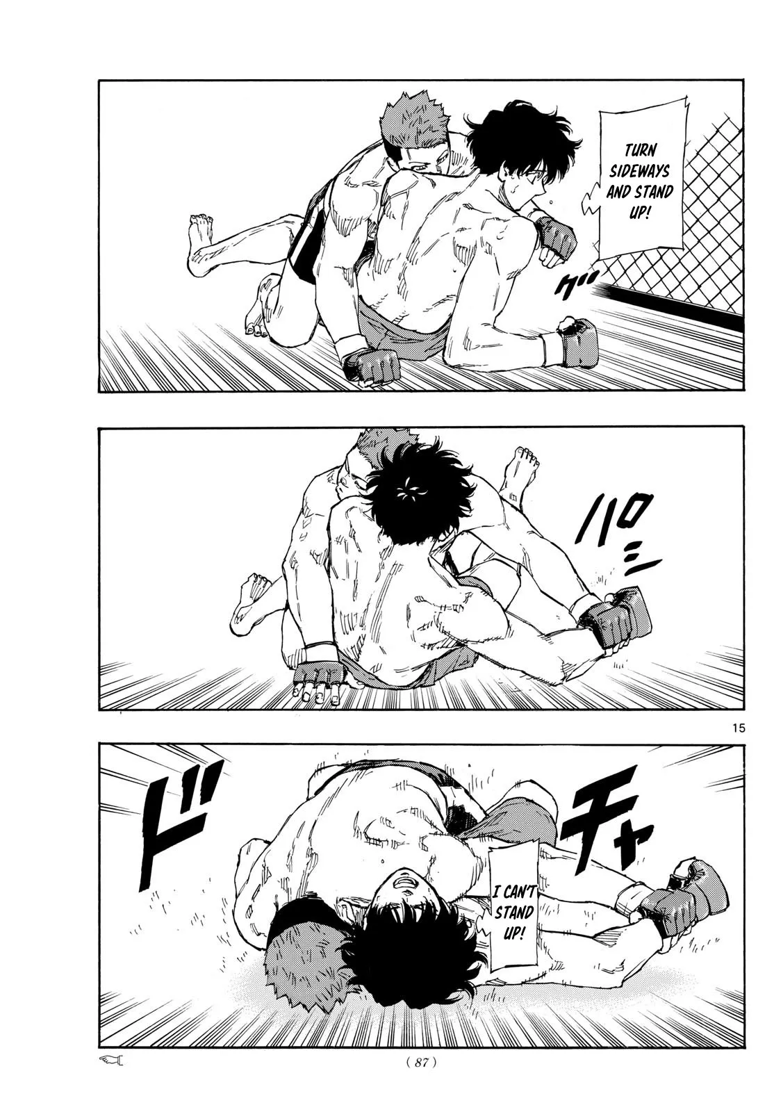 Page 15