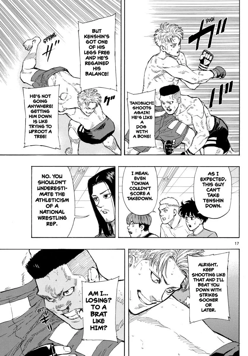Page 17