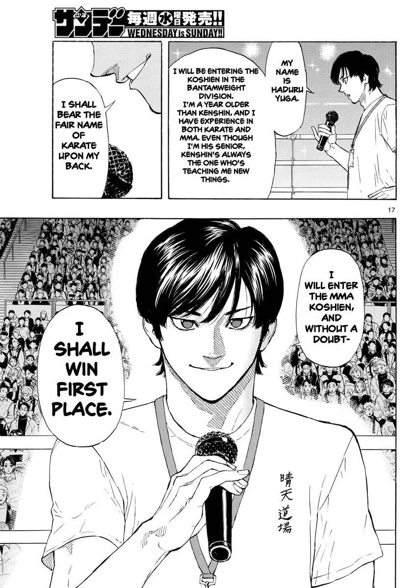 Page 17
