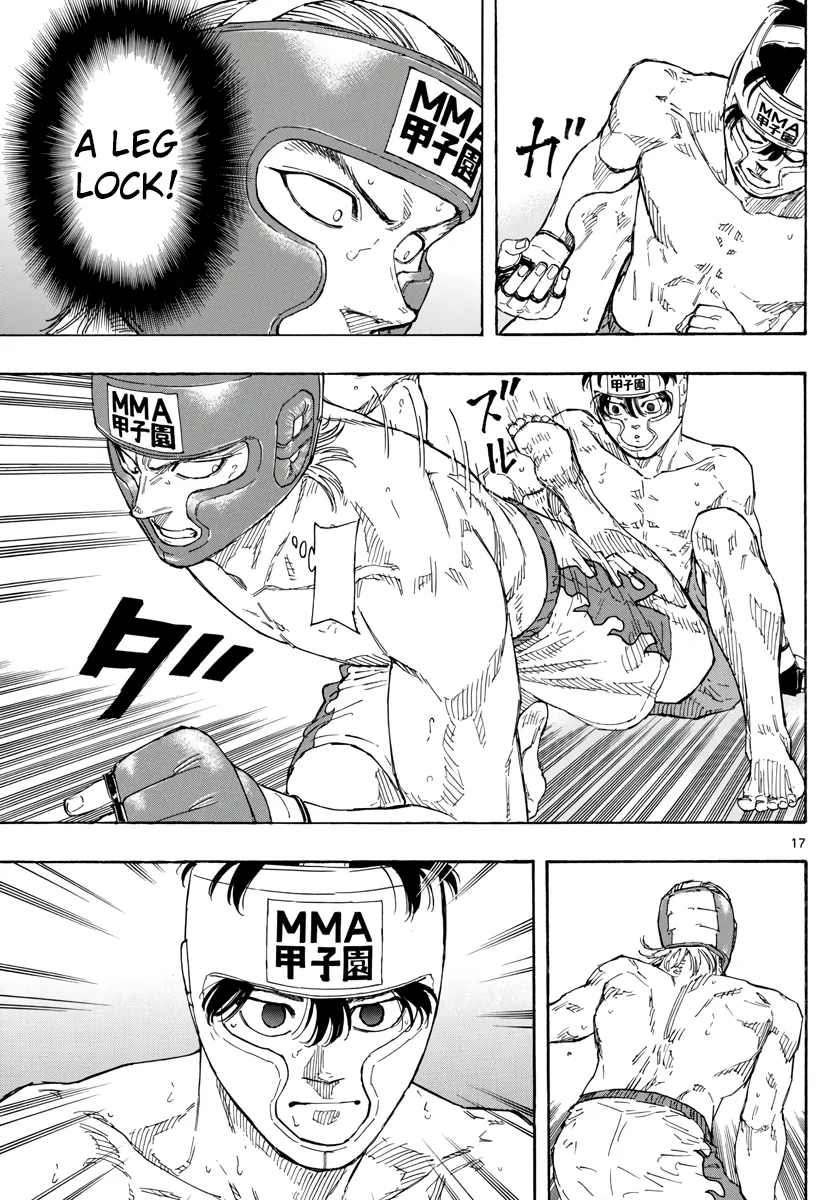 Page 17