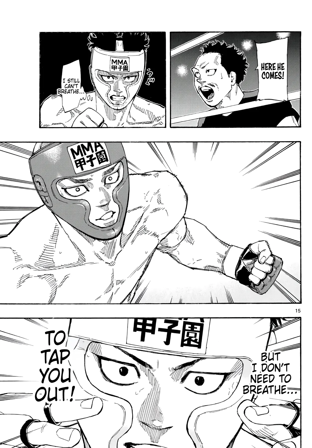 Page 15