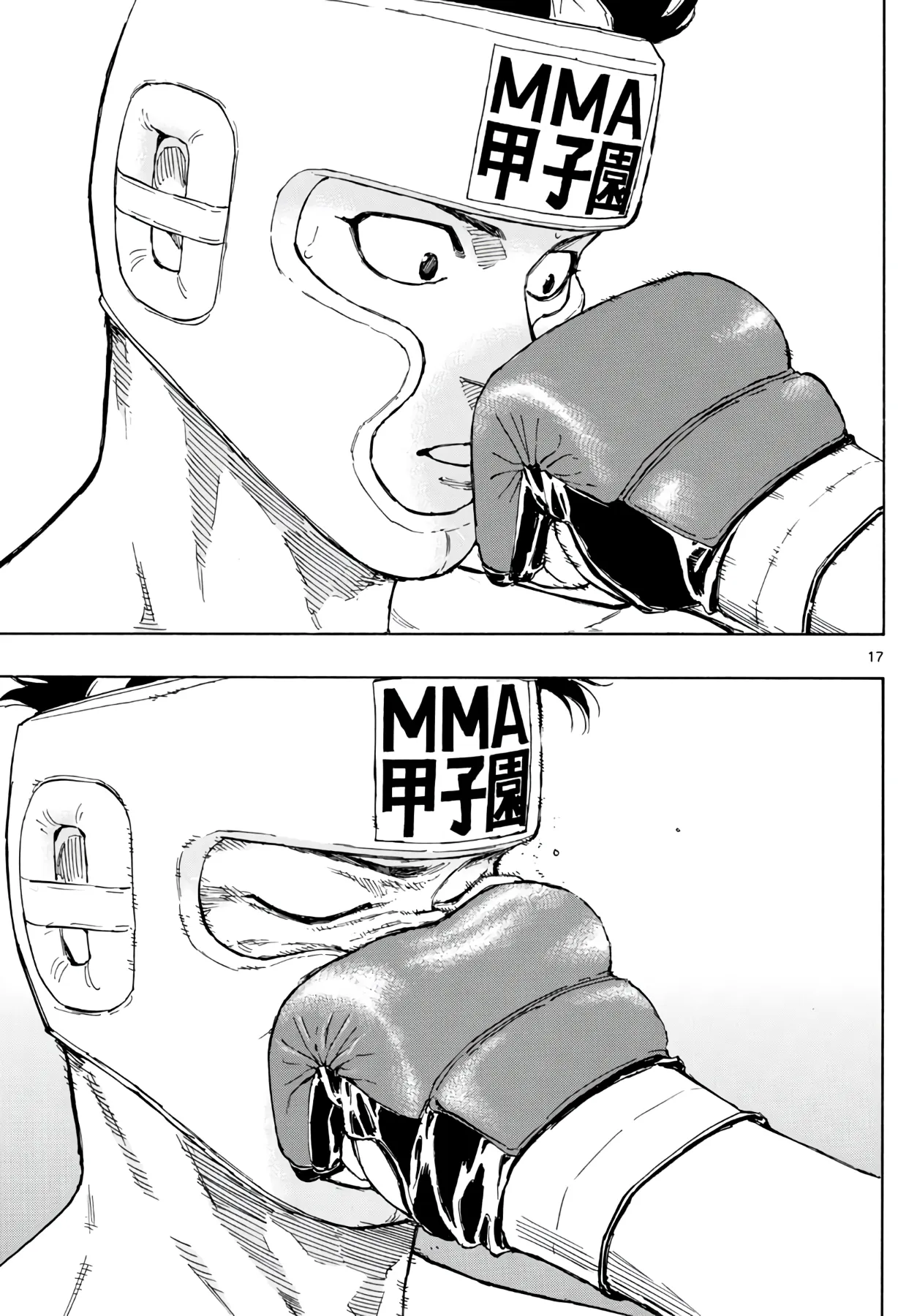 Page 17