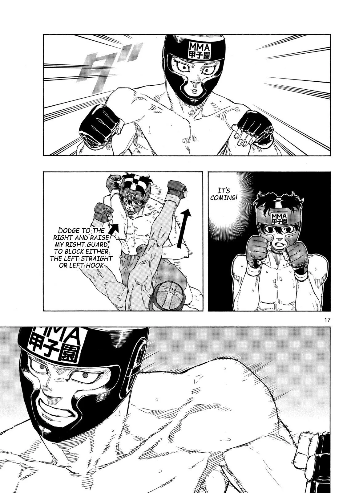 Page 17