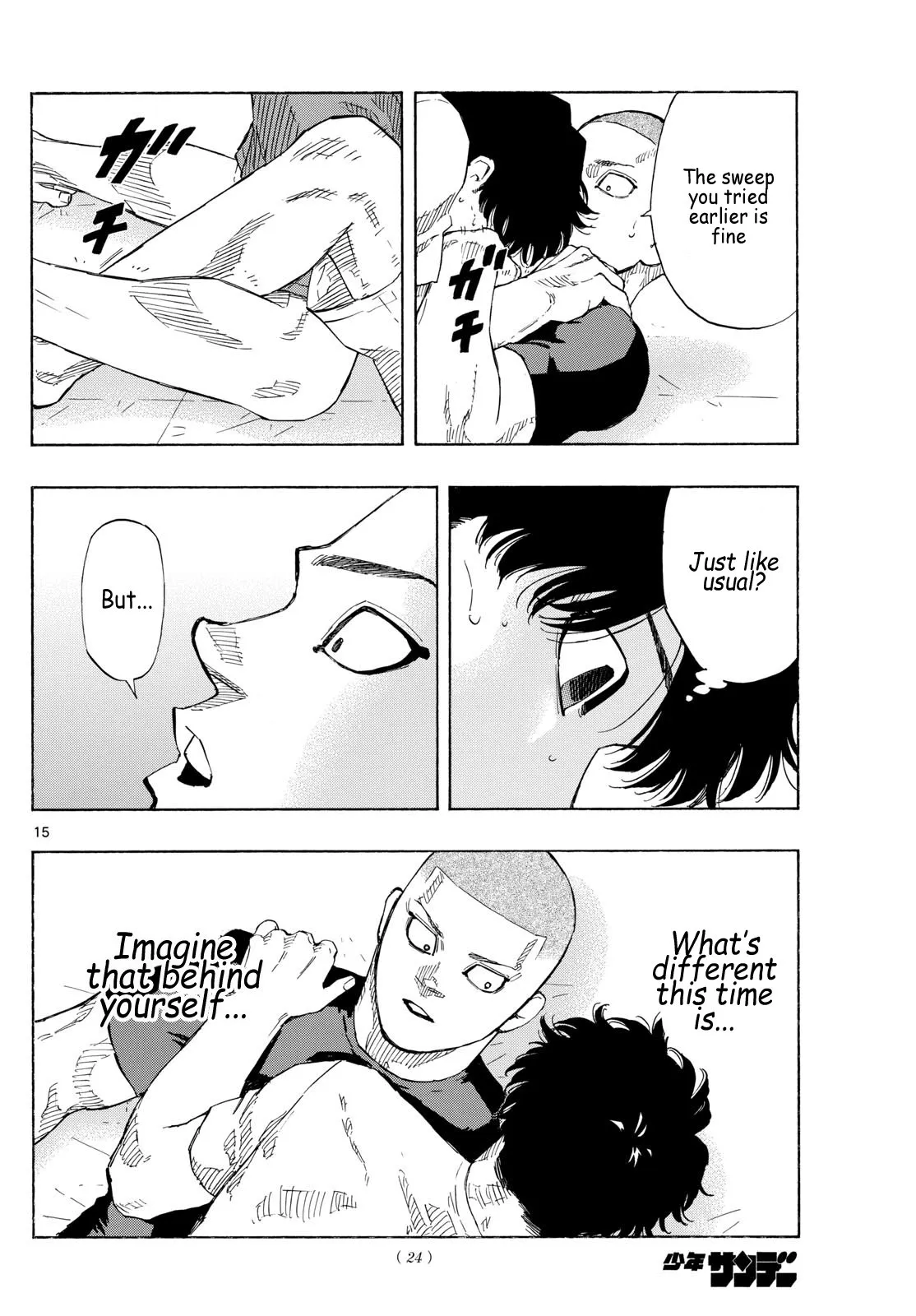 Page 15