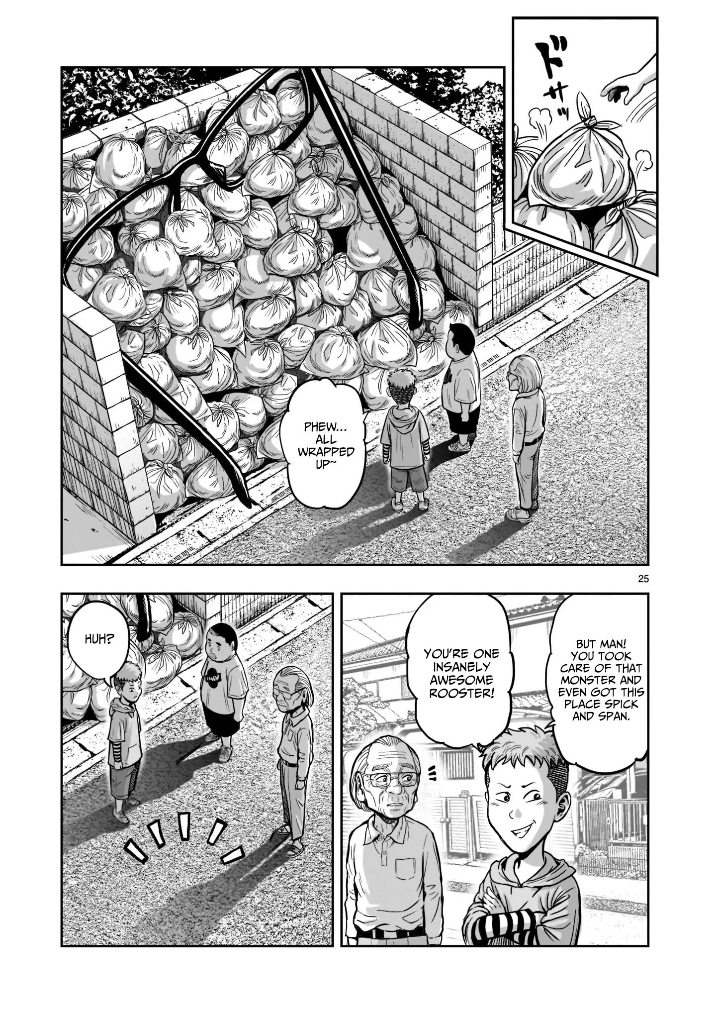 Page 25
