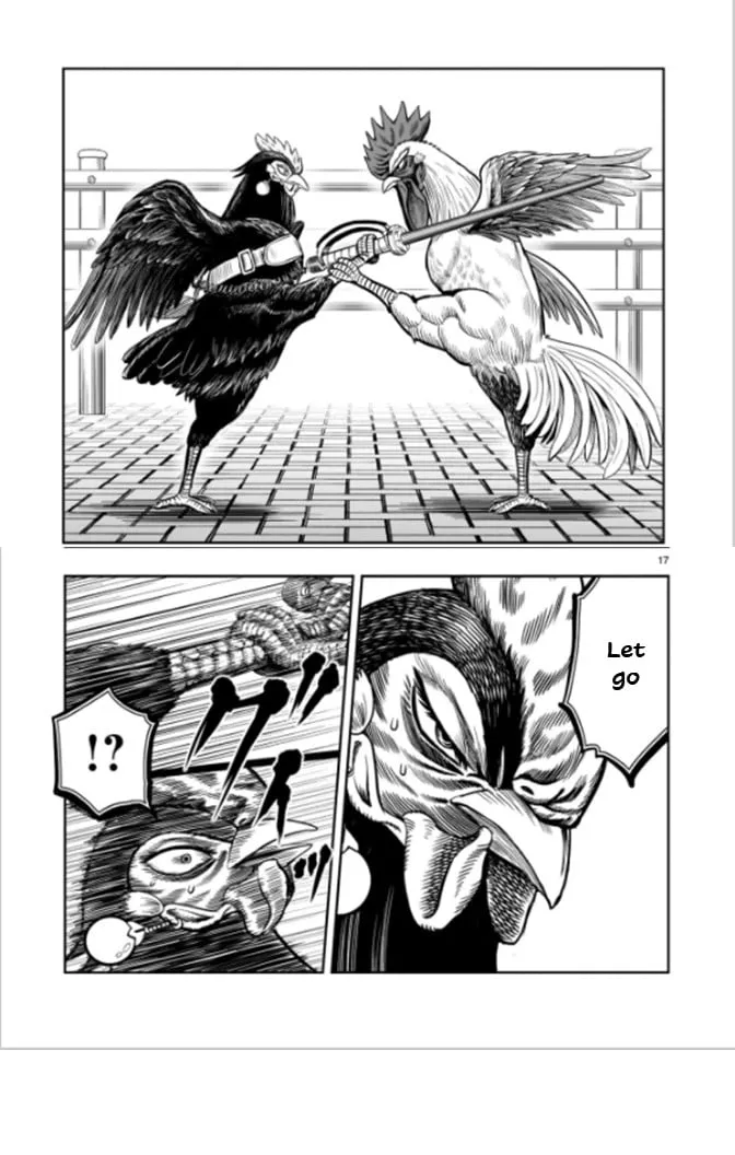 Page 17