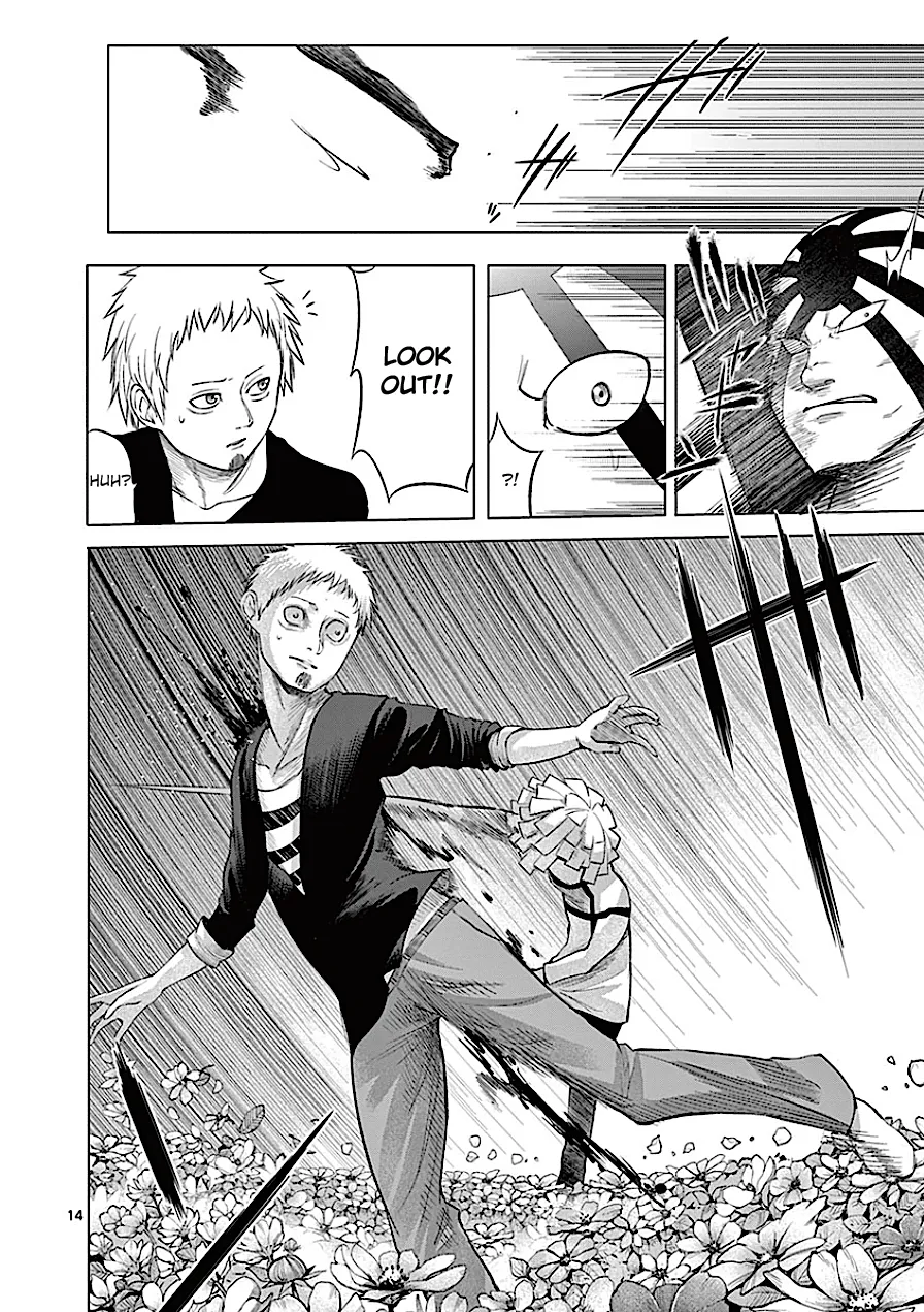 Page 14
