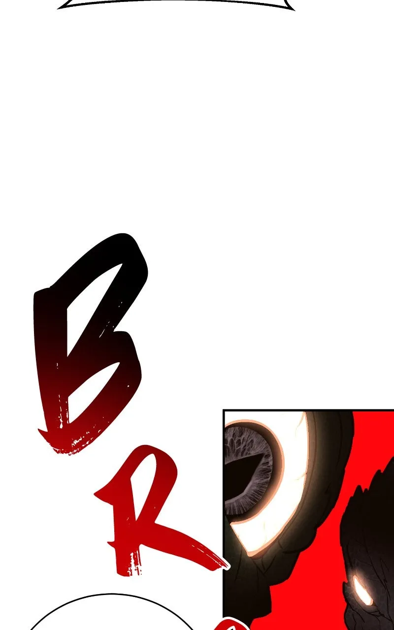 Page 247
