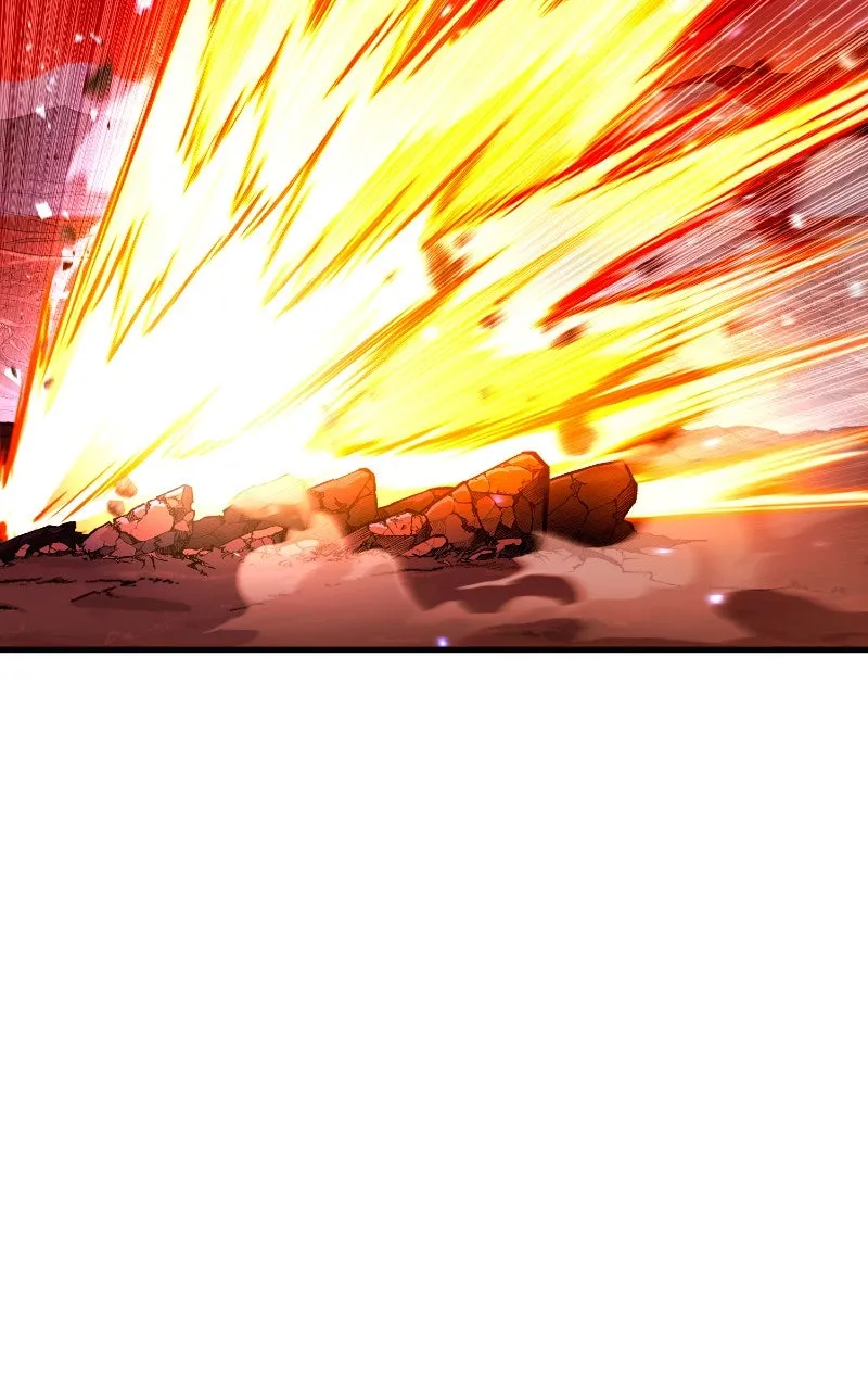 Page 244
