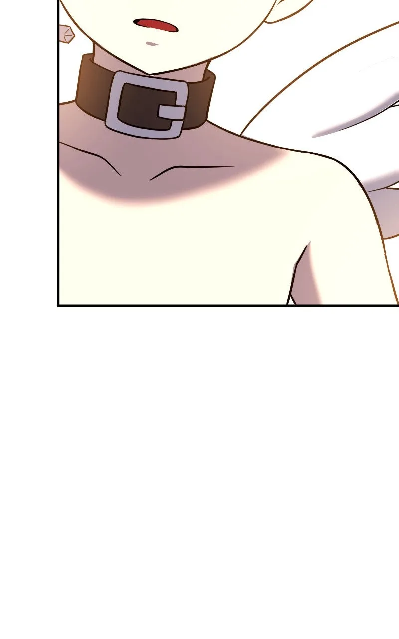 Page 251