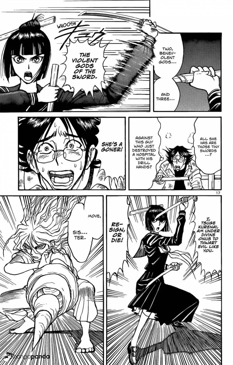 Page 17