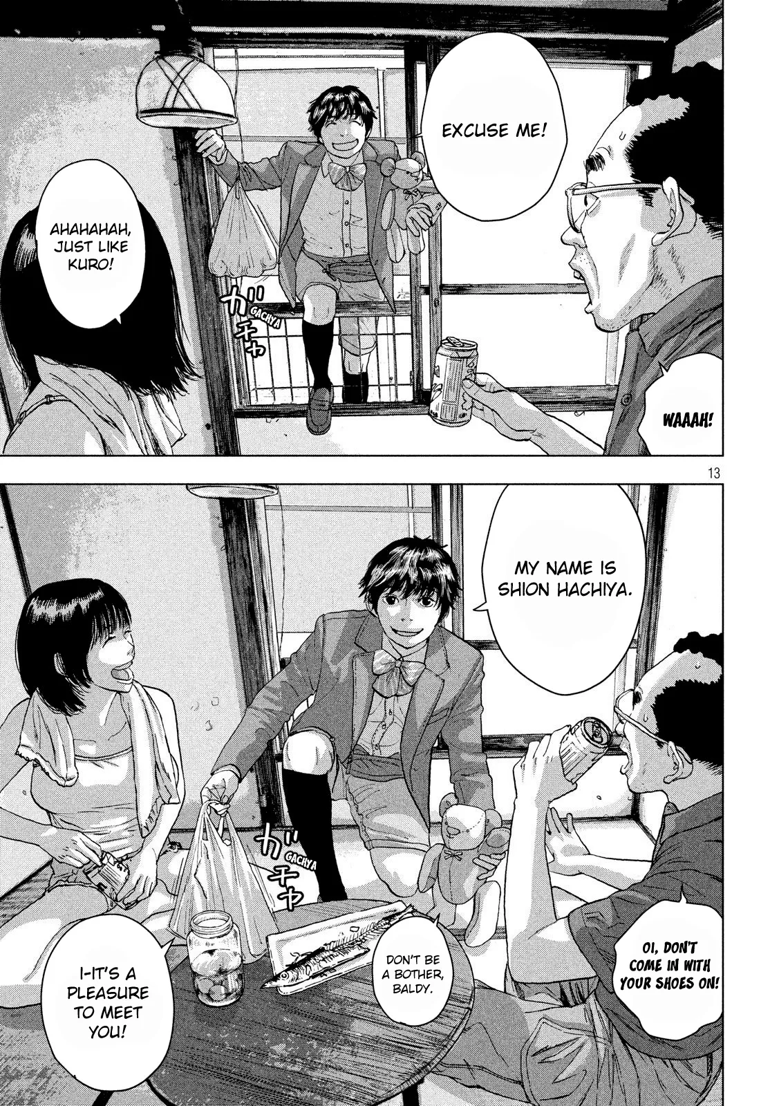 Page 13