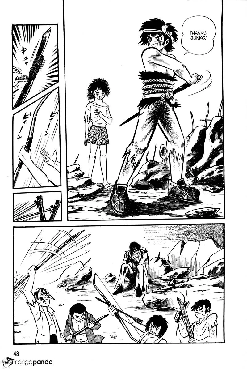 Page 43