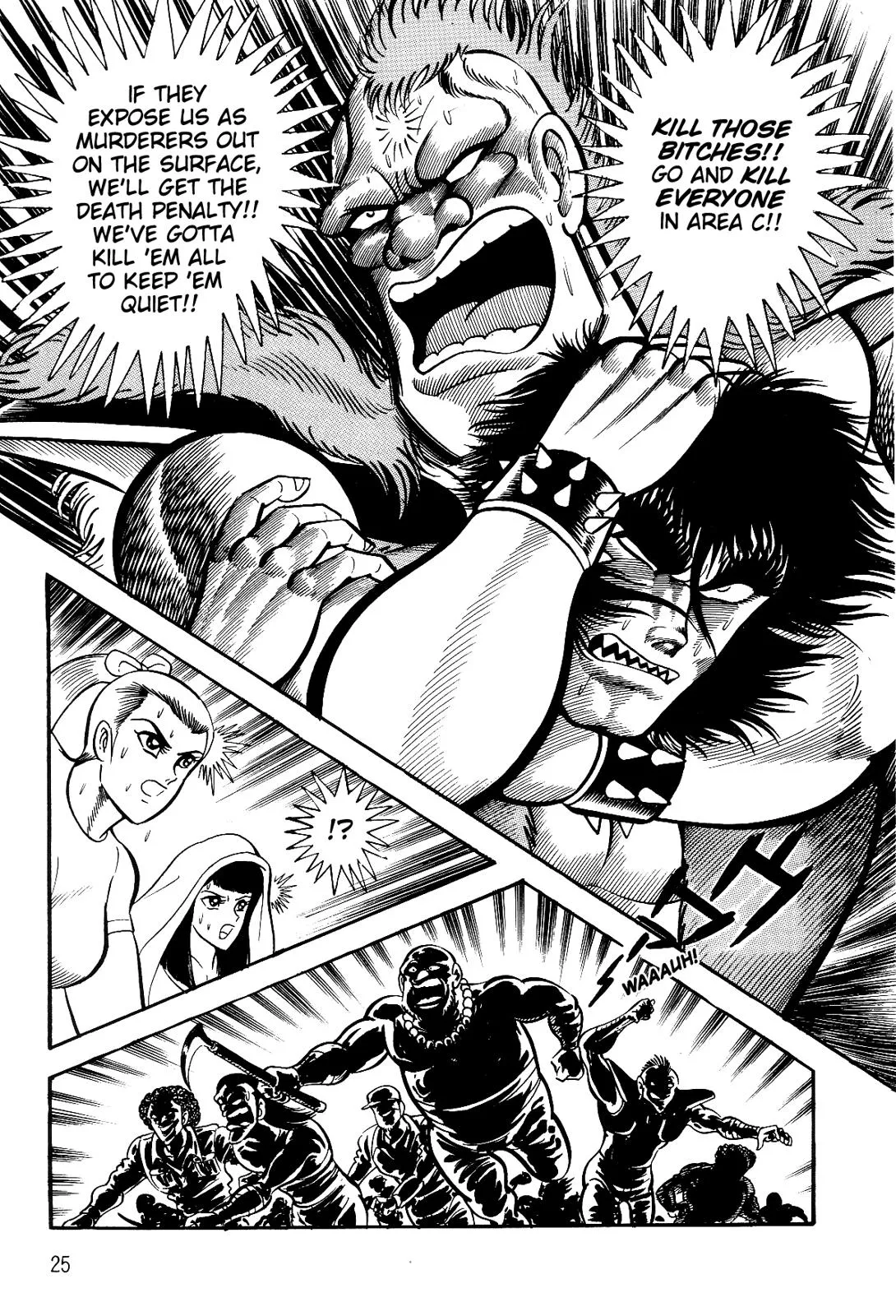 Page 25