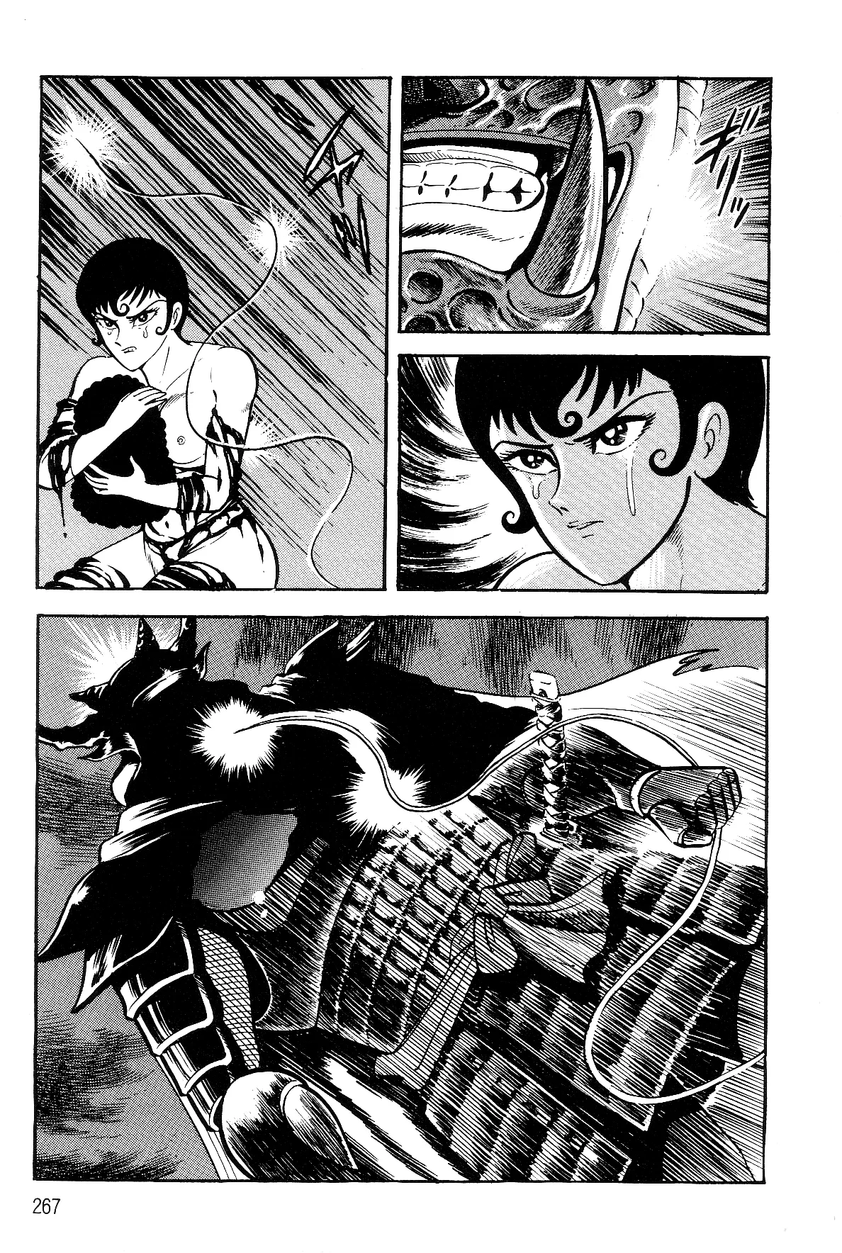 Page 245