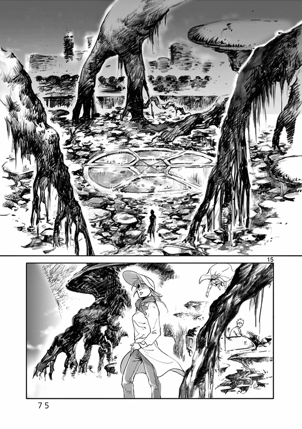 Page 15
