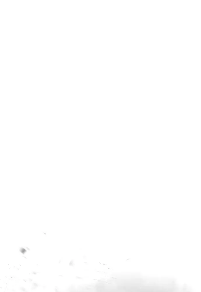 Page 217