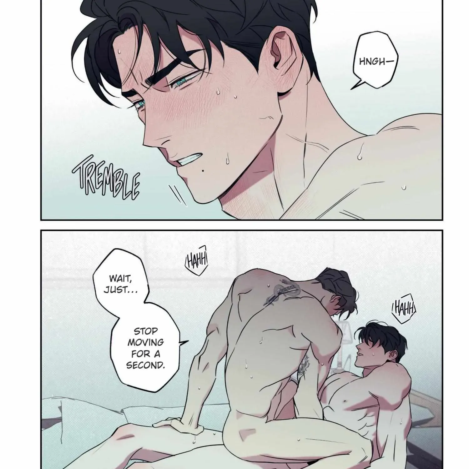 Page 244