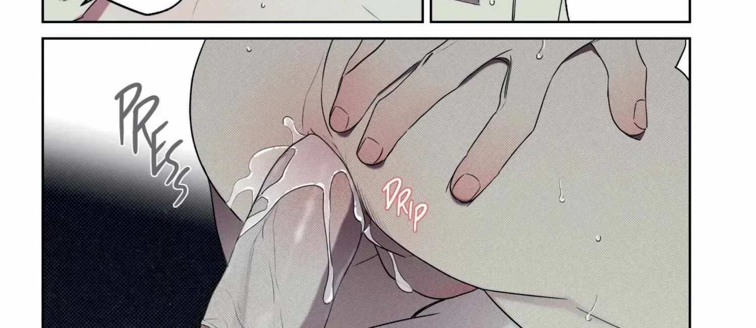 Page 243
