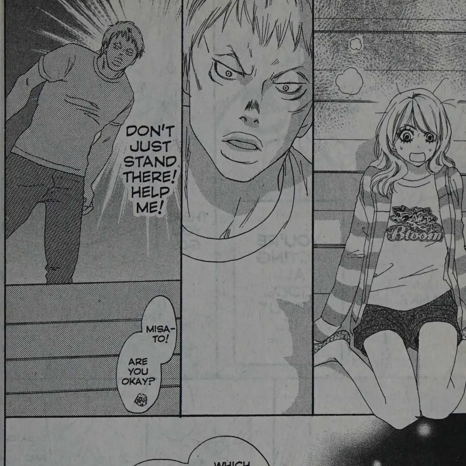 Page 335