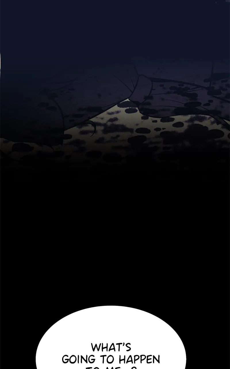 Page 237
