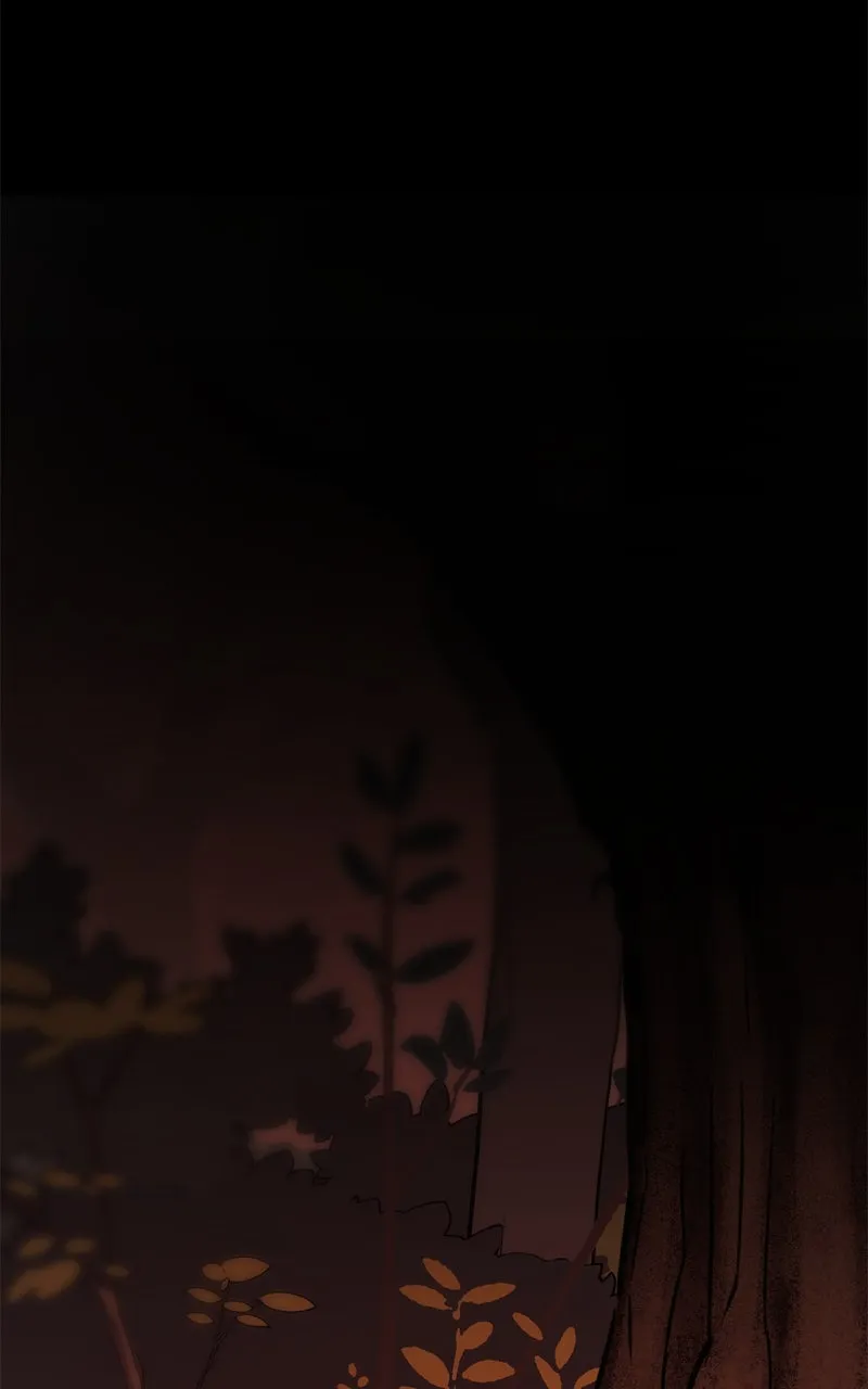 Page 232