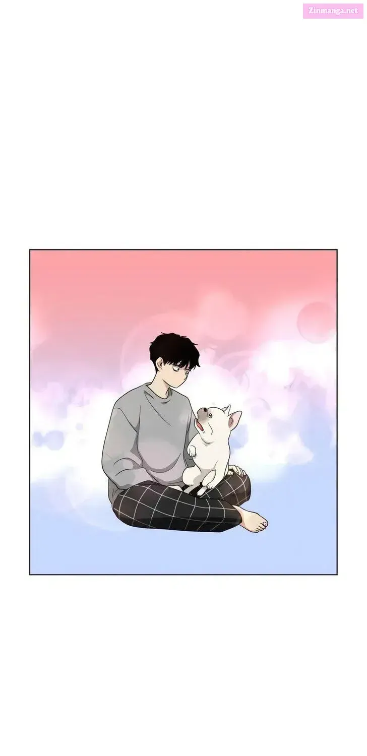 Page 233