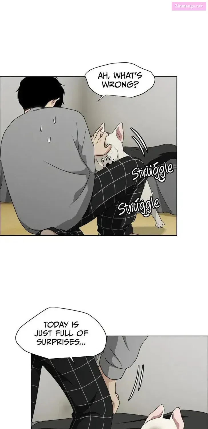 Page 237