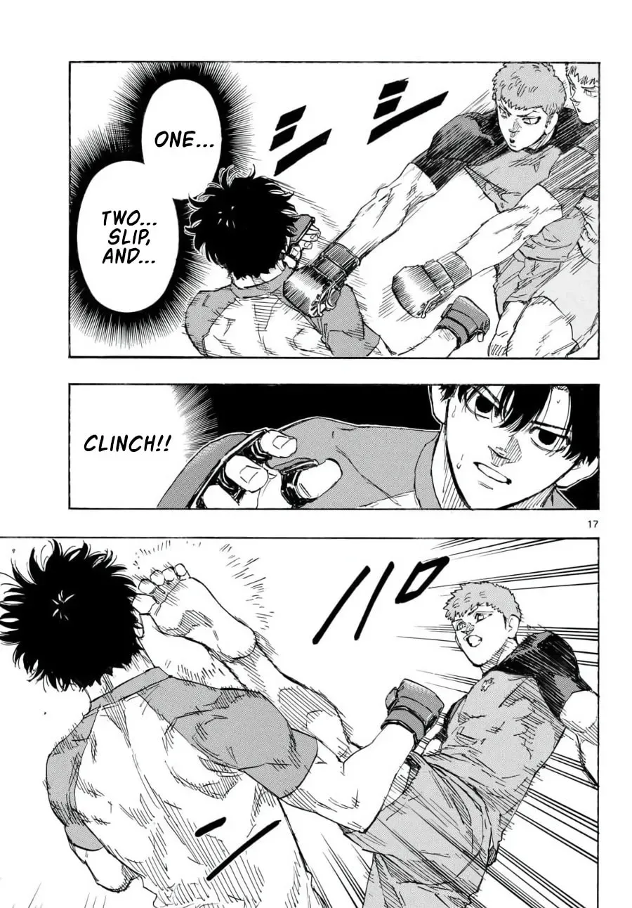 Page 17