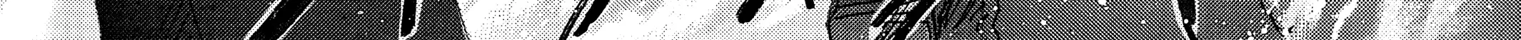 Page 238
